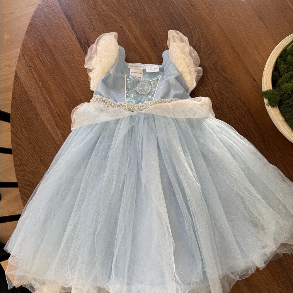 Disney Princess Cinderella Costume